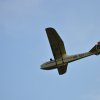 DSC_6084 (800x531)